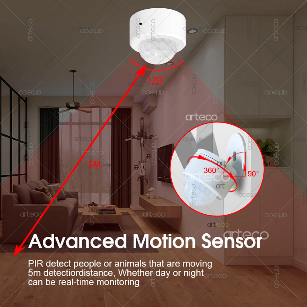 Ewelink Zigbee PIR-bewegingsse - Smart Home Google Assistant recensie en prijs