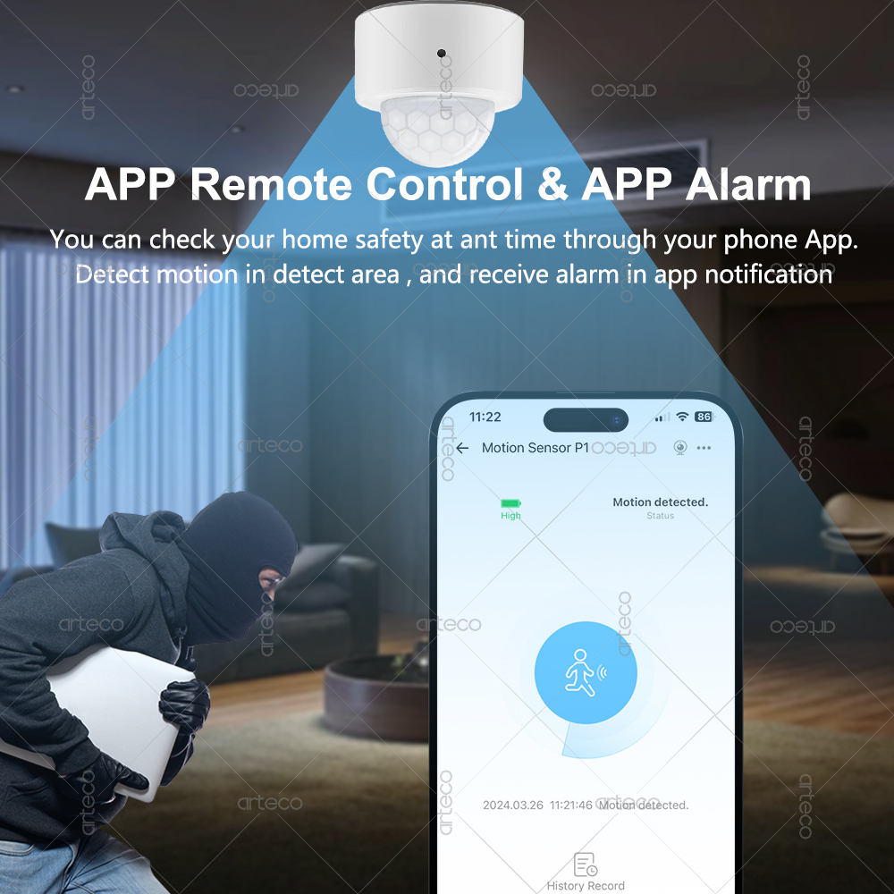 Ewelink Zigbee PIR-bewegingsse - Smart Home Google Assistant recensie en prijs