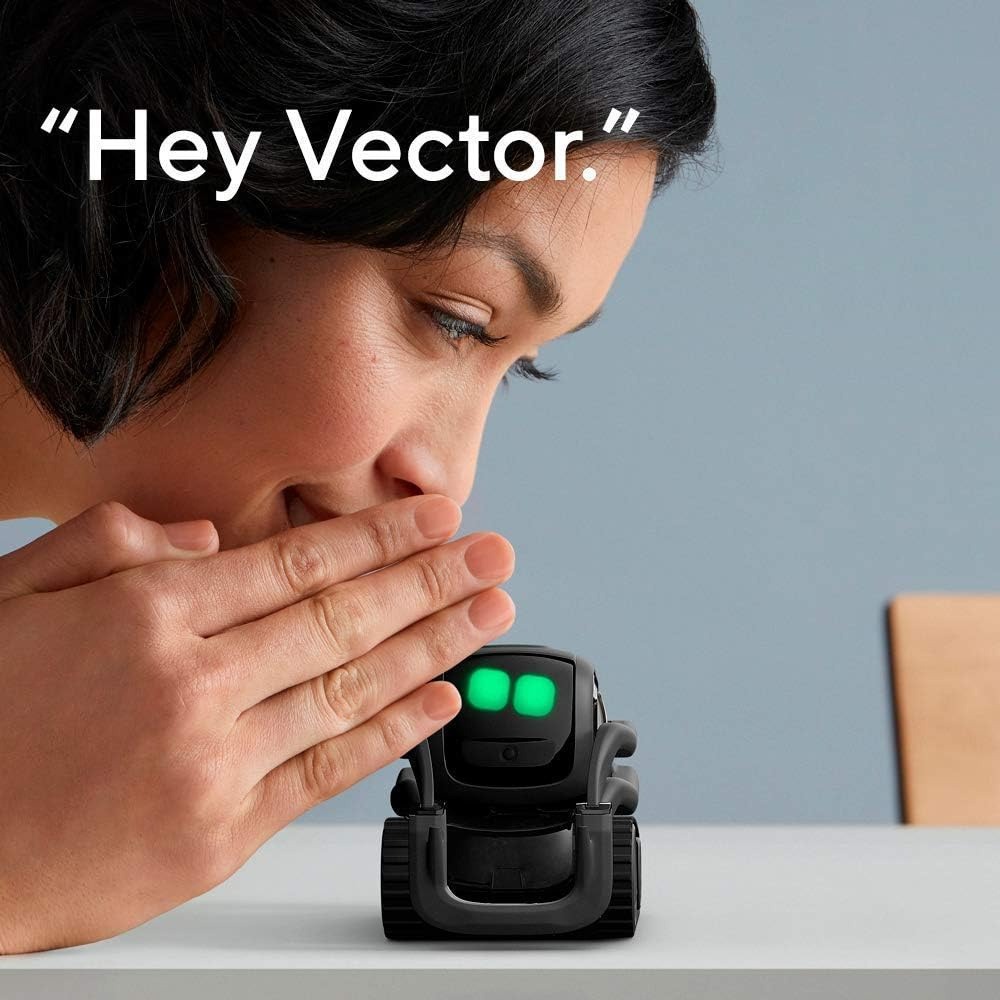 AI ChatGPT 2.0 Verbonden Robot - Smart Home Ai recensie en prijs
