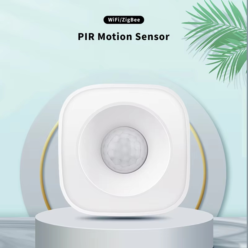 Tuya ZigBee/WiFi PIR Bewegings - Smart Home Google Assistant recensie en prijs