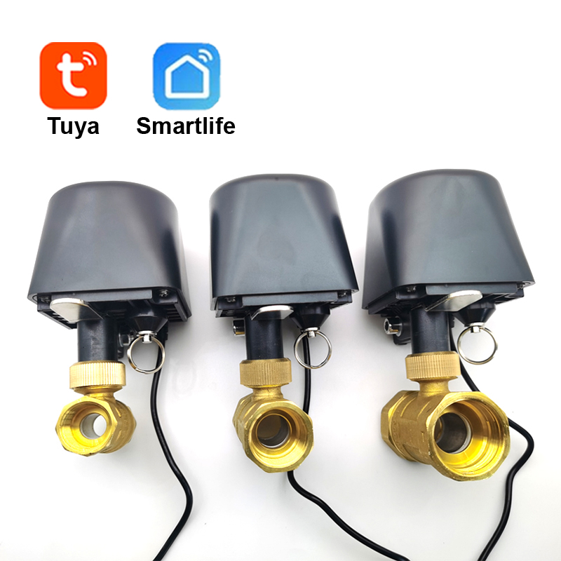 Tuya WiFi of Zigbee Waterklep  - Smart Home Google Assistant recensie en prijs
